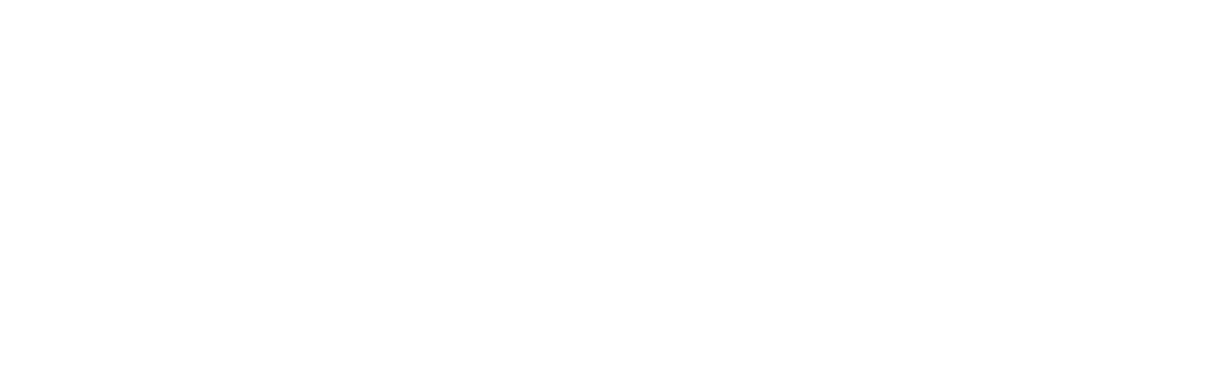 ScanTheDrop Logo mit Icon und Text Invertiert